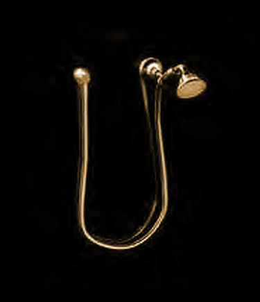 Twist Gold Handbrause (47GL)
